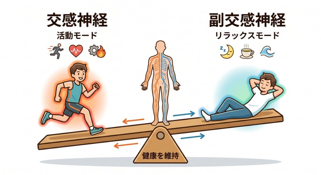 ストレスと自律神経の関係図解